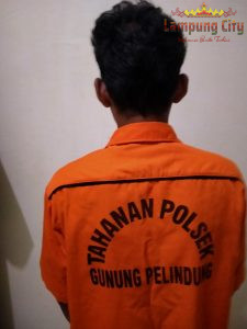 Polisi Tindaklanjuti Kasus Pencabulan Pelajar Di Lampung Timur