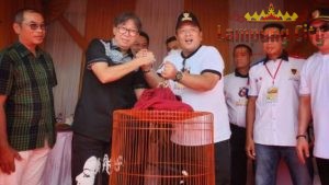 Gubernur Arinal Buka Perlombaan Kontes Burung Berkicau di Lampung Fair