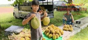 Manfaat Dari Buah Durian Bagi yang Mengkonsumsi