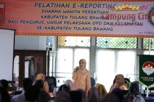 Herlinawati Qudrotul Hadiri Acara Pelatihan E-Reporting Dharma Wanita Tulang Bawang