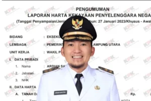 Wah! Segini Harta Kekayaan Wakil Bupati Lampung Utara Menurut LHKPN