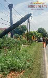 Pohon Tumbang di Bujung Tenuk Berhasil di Evakuasi Setelah Sekian Lama Menimpa Kabel Telkom
