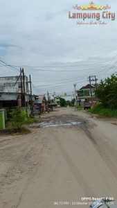 Warga Tiyuh Tohou Blok A Menggala Keluhkan Jalan Rusak: Bupati Tuba Lirik Kami Juga Jangan Timbang Pilih