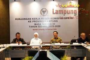 Pemprov Lampung Bersama Komisi XII DPR RI Bahas Pemanfaatan Energi di Provinsi Lampung