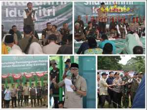 Pemerintah Bangun Pembatas 138 Km di Way Kambas, Solusi Permanen Konflik Gajah dan Manusia