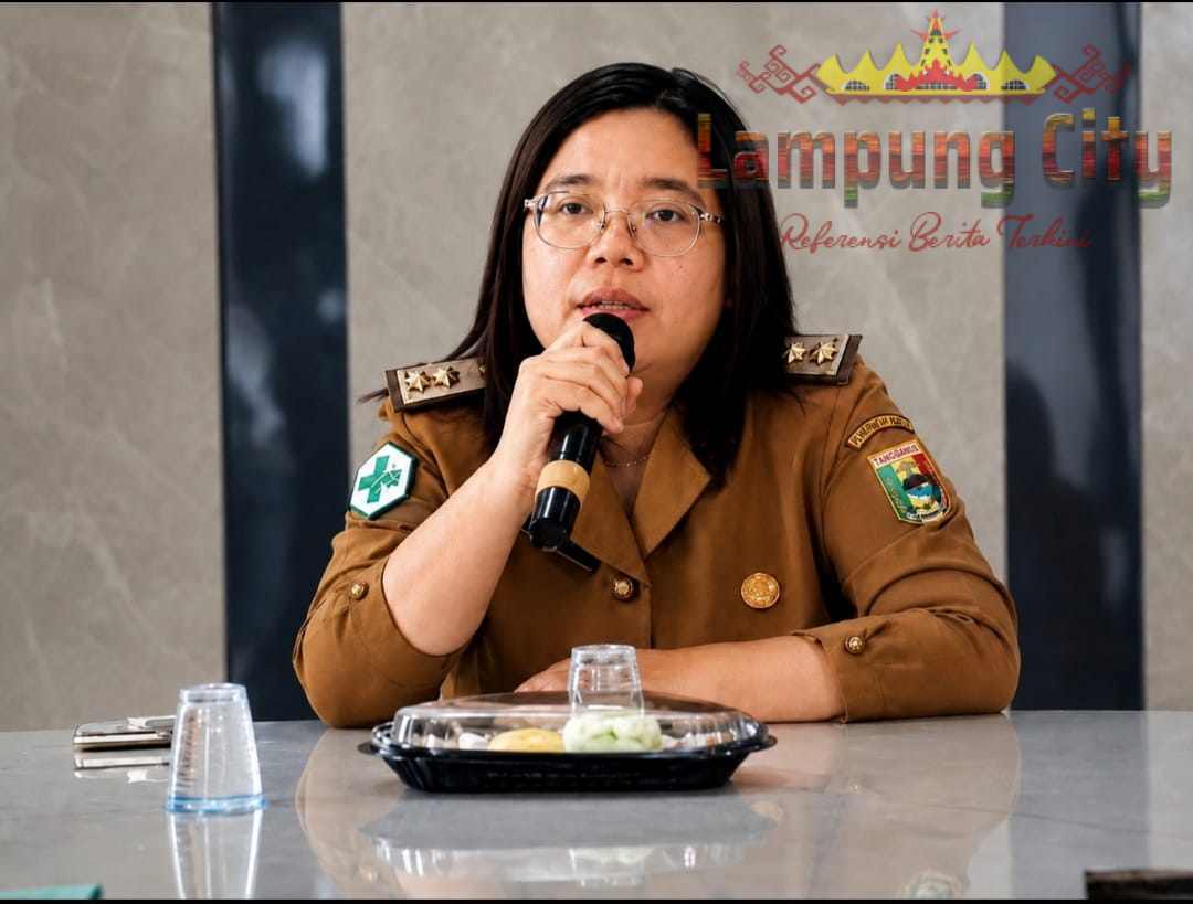 RSUD Batin Mangunang Buka Suara, Bantah Isu Sidak Wabup hingga Dugaan Potongan Honor