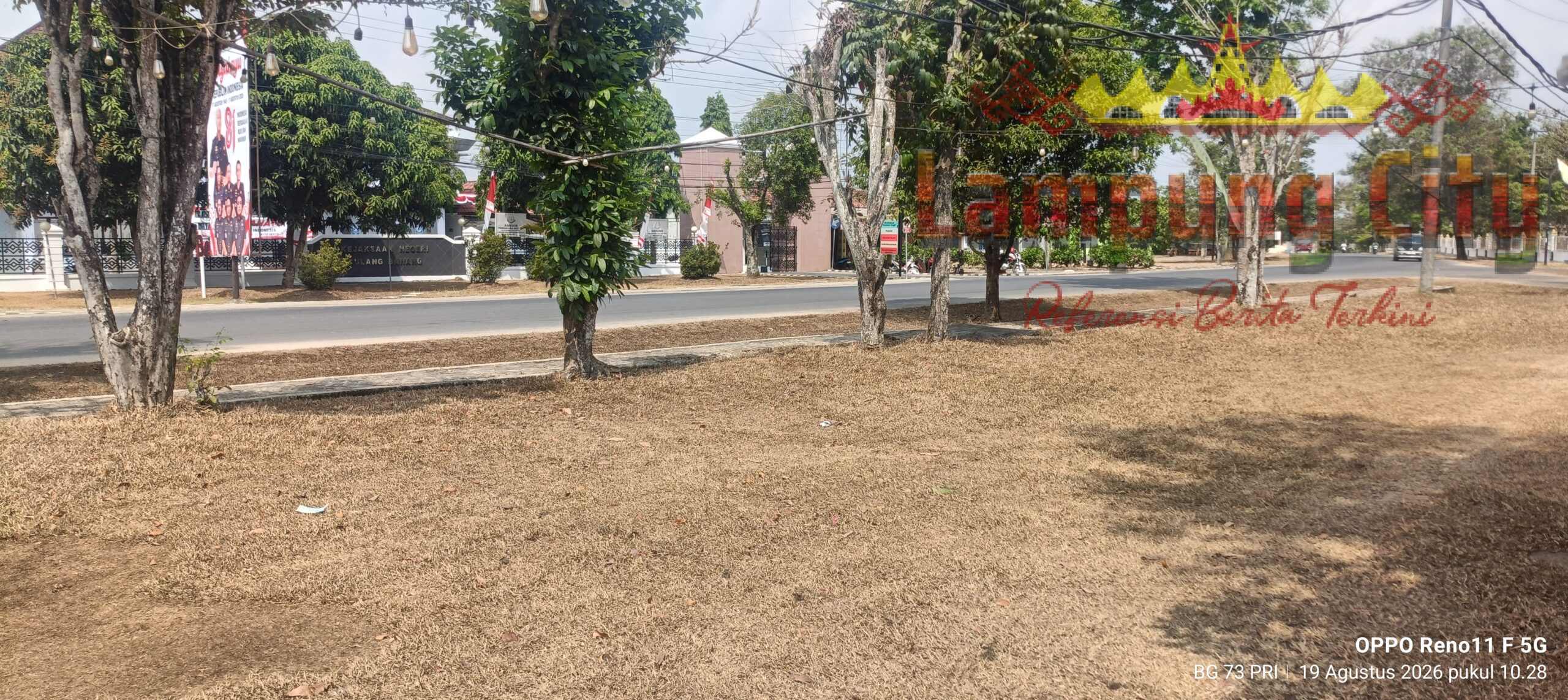 Cuaca Panas Ekstrem di Tulangbawang, Warga Keluhkan Dampaknya hingga Ekonomi Ikut Tersendat