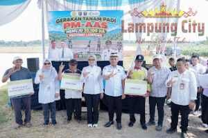 Pemprov Lampung Perkuat Pertanian Modern untuk Tingkatkan Produktivitas dan Pendapatan Petani