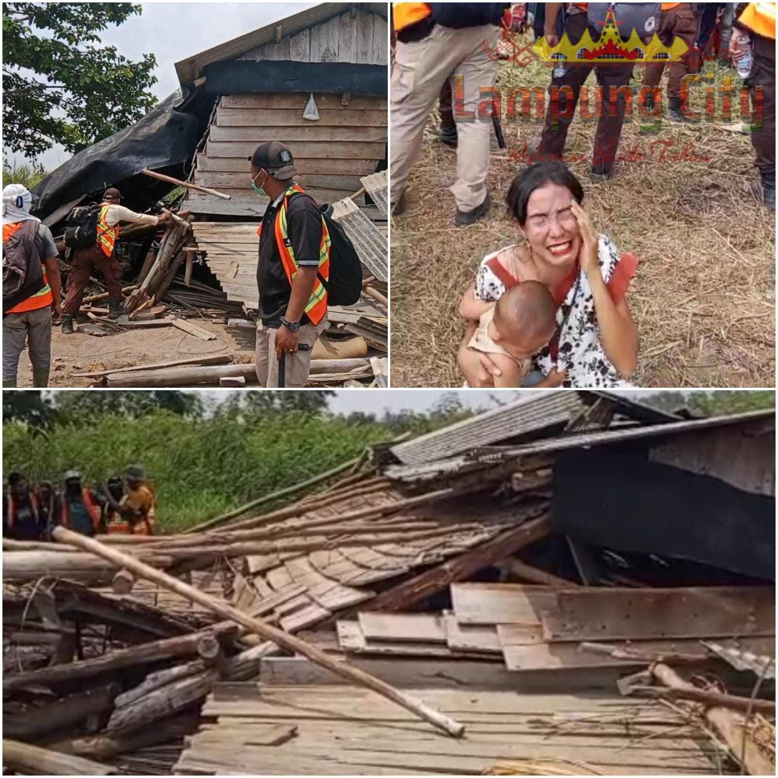 Tanpa Empati, Pam Swakarsa PT ILP Tetap Robohkan Gubuk Warga Meski Dihalangi Ibu Gendong Balita