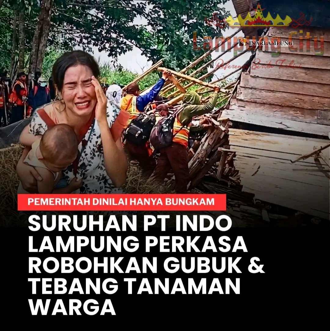 VIRAL! Gubuk Warga di Bantaran Sungai Tulang Bawang Dirobohkan, Wakil Bupati Perintahkan Camat Turun ke Lokasi